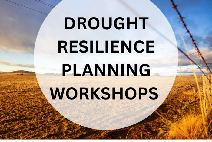 Western Riverina Regional Drought Resilience Planning Workshop