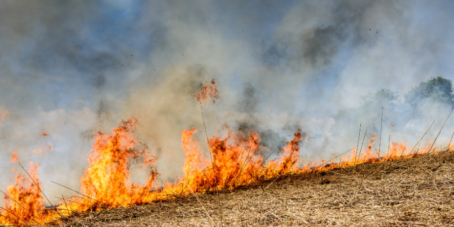 Hazard Reduction Burn | Narrandera Leeton Airport