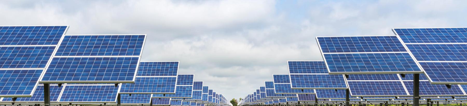 Solar Farms Narrandera Shire
