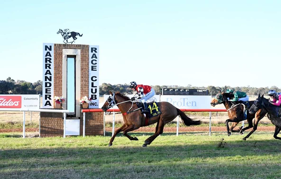 Narrandera Community Race Day