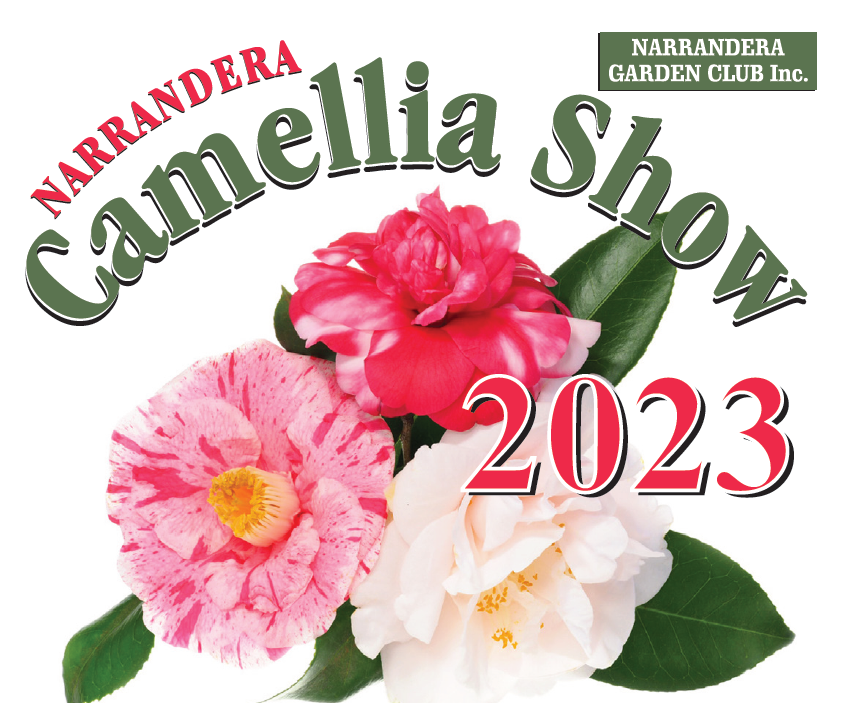 Camellia Show